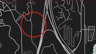 GTA Online animal locations: Crow (Image via Rockstar Games || gtaweb.eu)